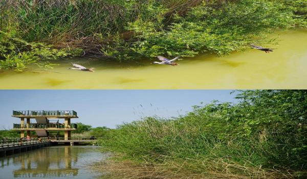 三角洲行动瞄准辅助开还是关(三角洲行动瞄准辅助开还是关好?) 三角洲行动瞄准辅助开还是关(三角洲行动瞄准辅助开还是关好?)